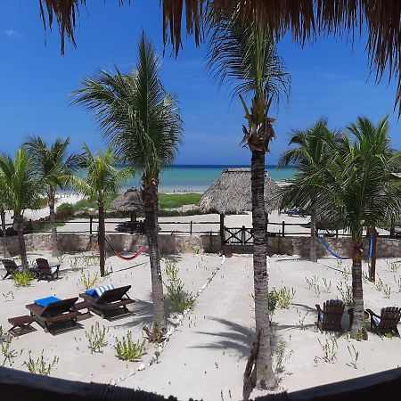 Beach Guesthouse Holbox Apartments & Suites Εξωτερικό φωτογραφία