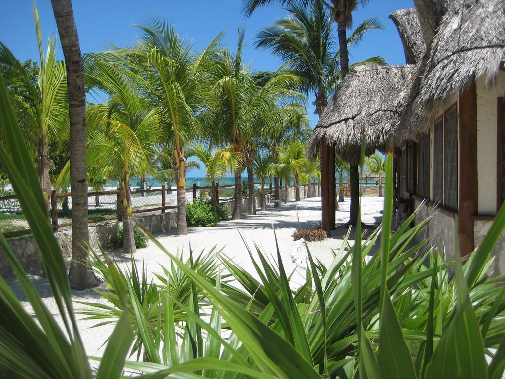 Beach Guesthouse Holbox Apartments & Suites Εξωτερικό φωτογραφία