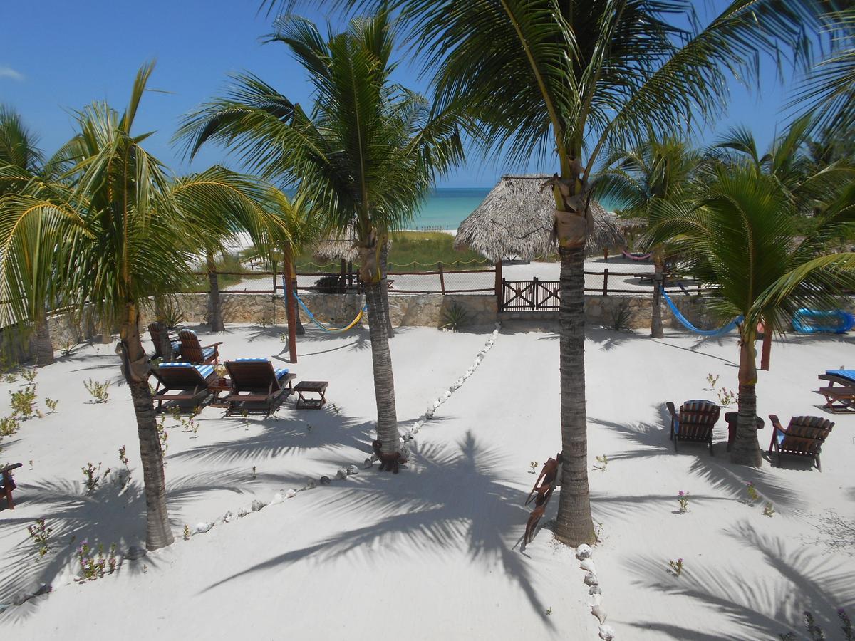 Beach Guesthouse Holbox Apartments & Suites Εξωτερικό φωτογραφία