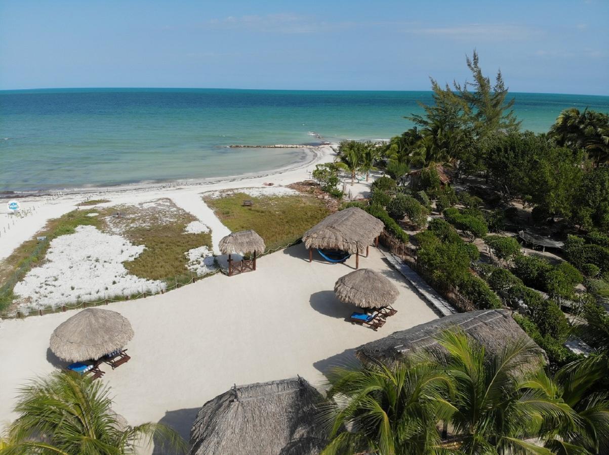 Beach Guesthouse Holbox Apartments & Suites Εξωτερικό φωτογραφία