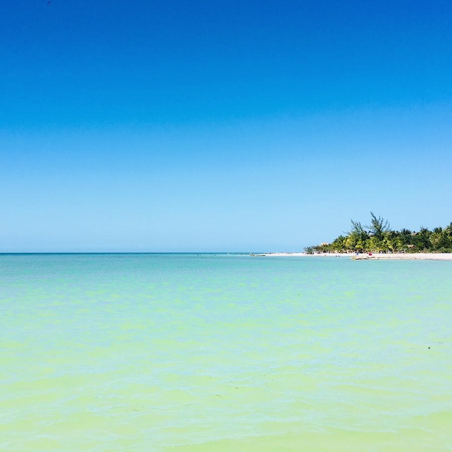 Beach Guesthouse Holbox Apartments & Suites Εξωτερικό φωτογραφία